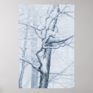Affiche Arbre neige congelé