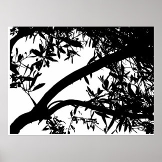 Affiche Arbre noir et blanc