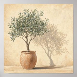 Affiche Arbre Olive Chauffé en Pot - Botanique Carré - Art