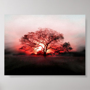 Affiche Arbre rouge