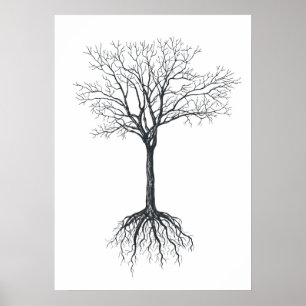 Affiche Arbre sans feuilles