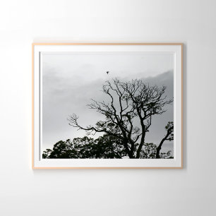 Affiche Arbre Silhouette Powerscourt Gardens Photographie