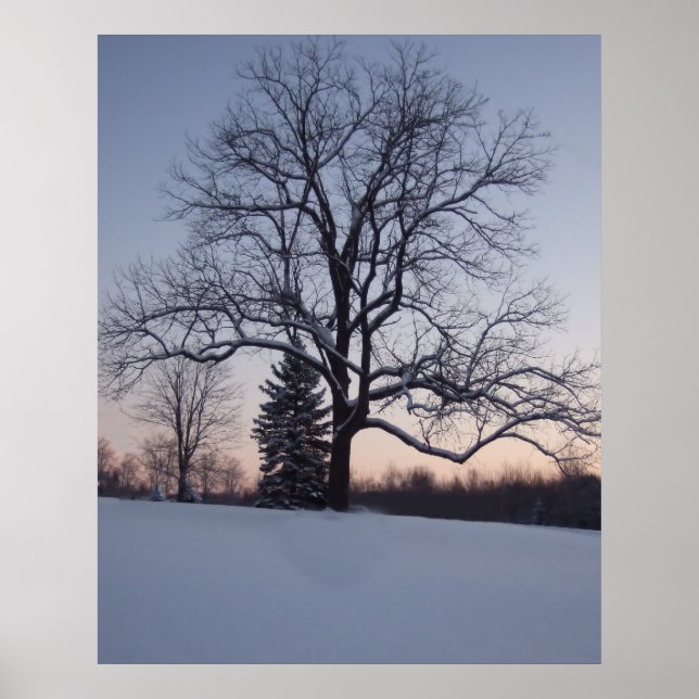 Affiche Arbre solitaire (Devant)