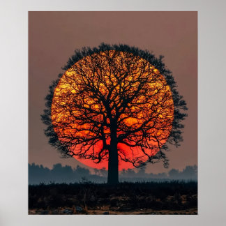 Affiche Arbre solitaire au coucher du soleil