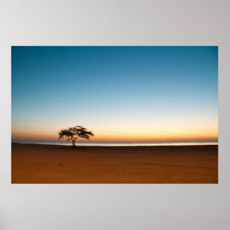 Affiche Arbre solitaire au lever du soleil au Koweït