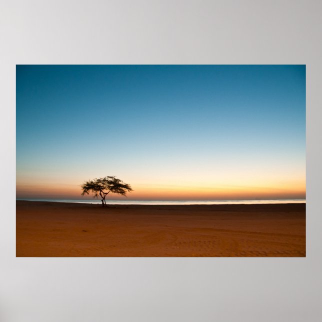 Affiche Arbre solitaire au lever du soleil au Koweït (Devant)