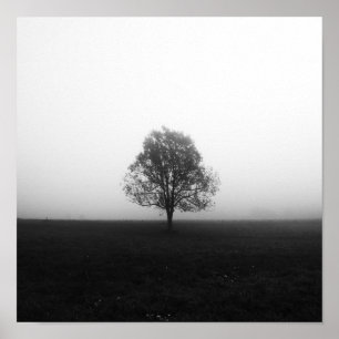 Affiche Arbre solitaire dans le brouillard noir et blanc