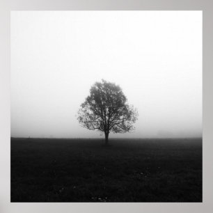 Affiche Arbre solitaire dans le brouillard noir et blanc