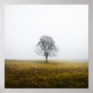 Affiche Arbre solitaire dans un matin d'automne brumeux