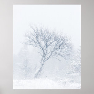 Affiche Arbre solitaire pendant la tempête de neige en hiv
