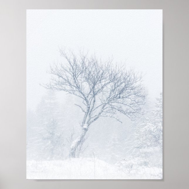 Affiche Arbre solitaire pendant la tempête de neige en hiv (Devant)