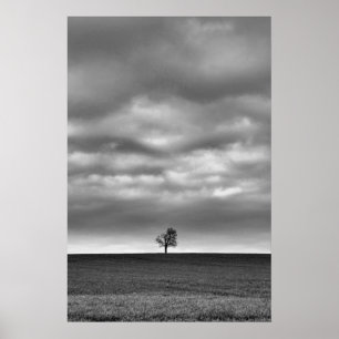Affiche Arbre Sur La Colline