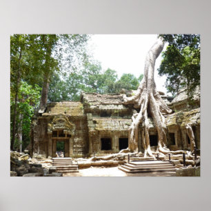Affiche arbre ta prohm