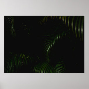 AFFICHE ARBRE VERT