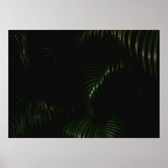 AFFICHE ARBRE VERT (Devant)