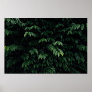 AFFICHE ARBRE VERT
