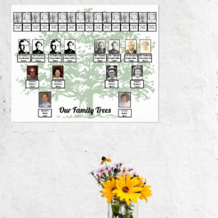 Affiche Arbre vert clair tirant deux arbres familiaux