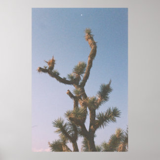 AFFICHE ARBRE VERT ET BROWN SOUS LE CIEL BLEU