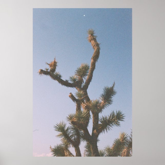 AFFICHE ARBRE VERT ET BROWN SOUS LE CIEL BLEU (Devant)