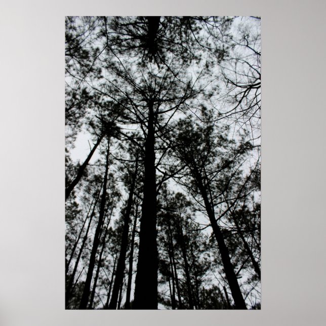 Affiche Arbres (Devant)
