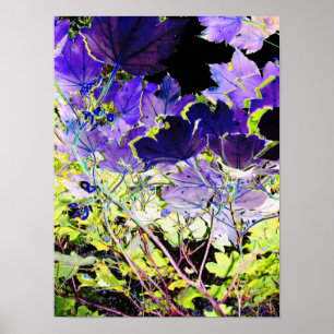 AFFICHE ARBRES