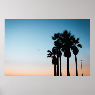 Affiche Arbres à l'heure d'or