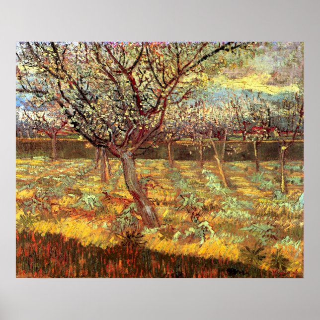Affiche Arbres abricot en fleurs par Vincent van Gogh (Devant)