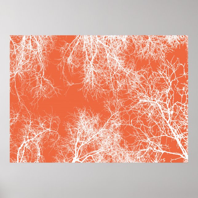Affiche Arbres aux silhouettes orange et blanc (Devant)