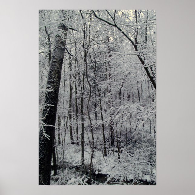 Affiche Arbres couverts de neige (Devant)