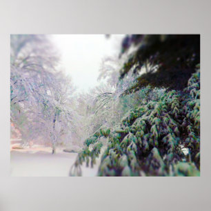 Affiche Arbres couverts de neige, Pin sur KC Street