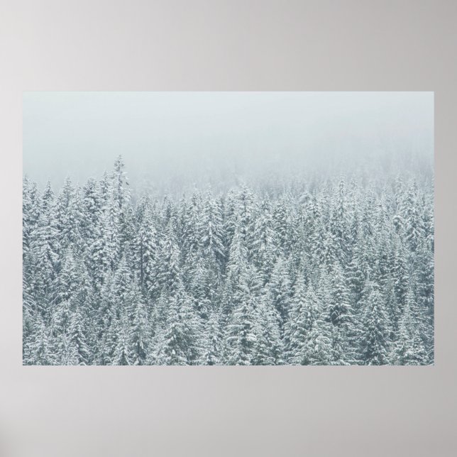 AFFICHE ARBRES COUVRANT LA NEIGE (Devant)
