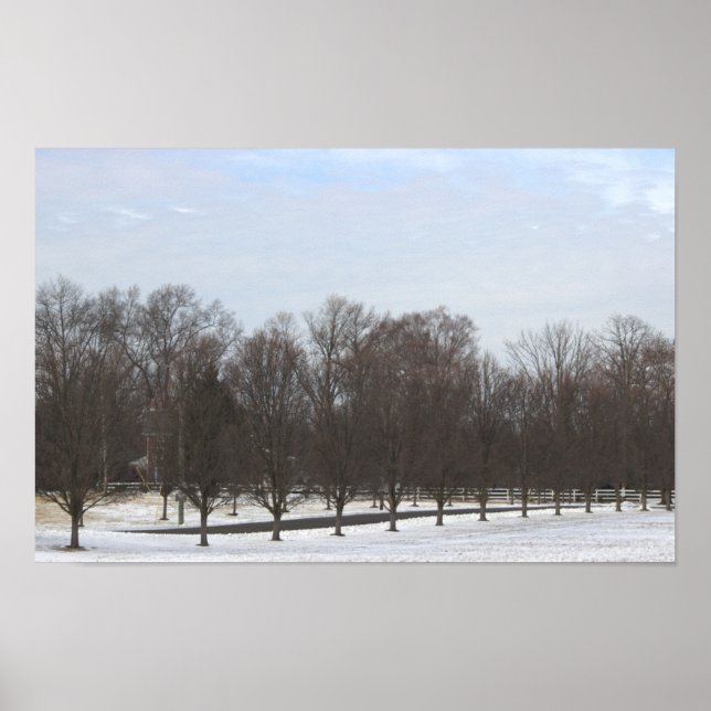  Affiche Arbres dans la Neige (Devant)