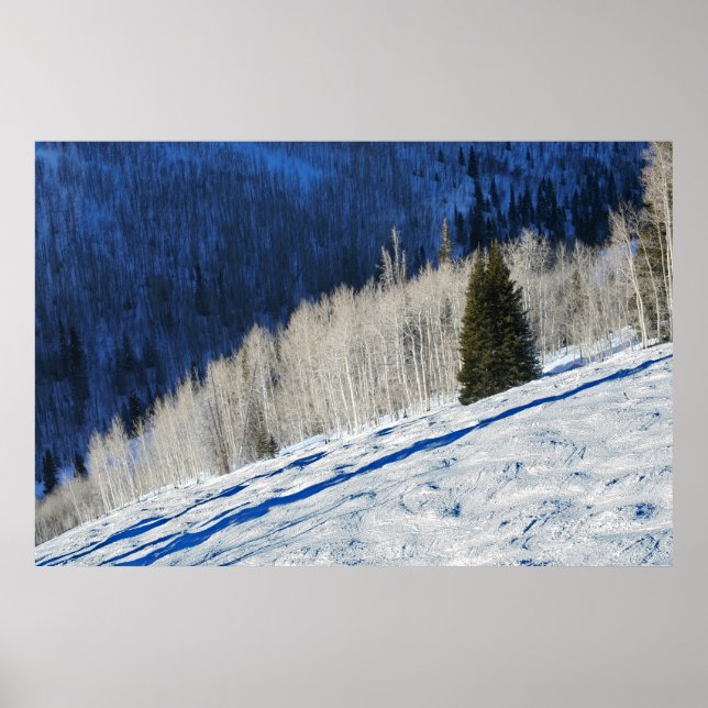 Affiche Arbres d'argent (Devant)