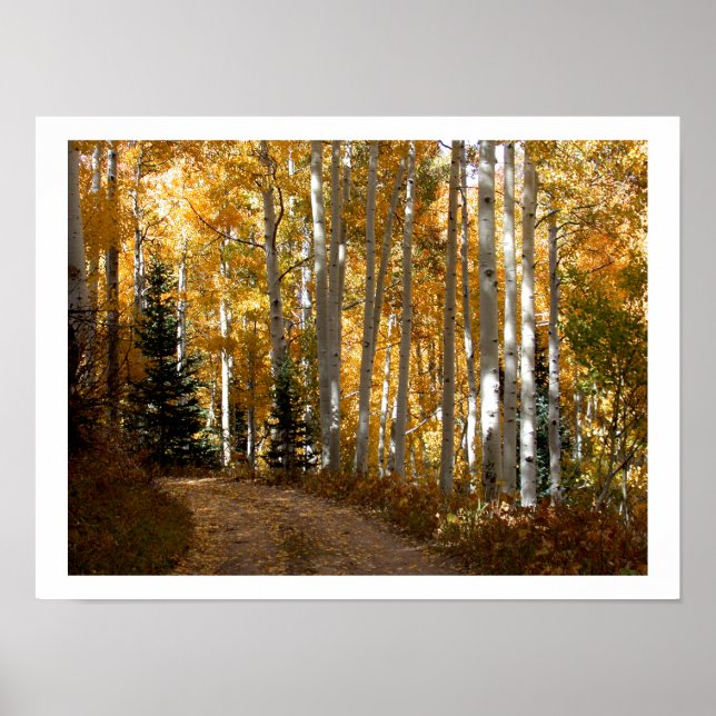 Affiche Arbres d'Aspen (Devant)