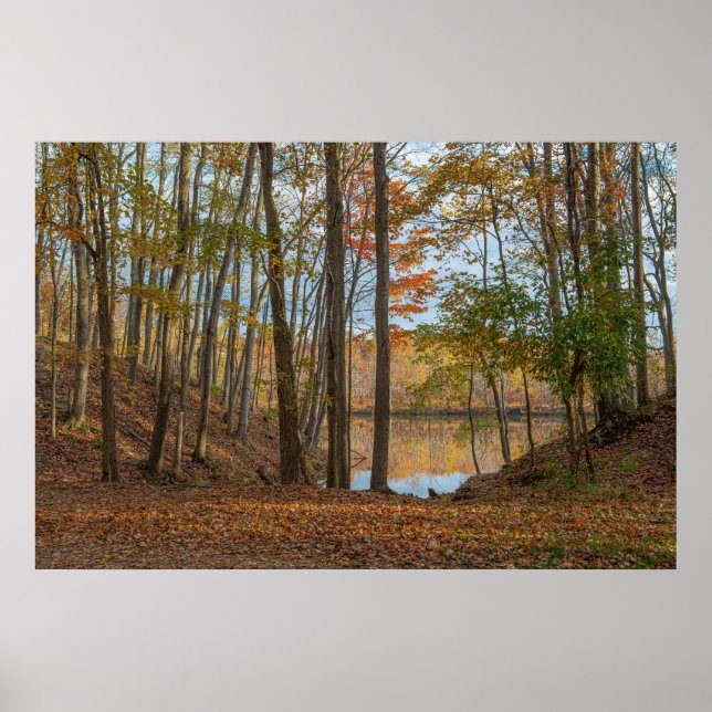 Affiche Arbres d'automne (Devant)