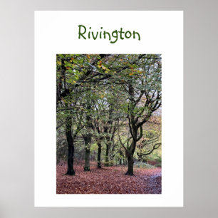 Affiche Arbres d'automne Rivington