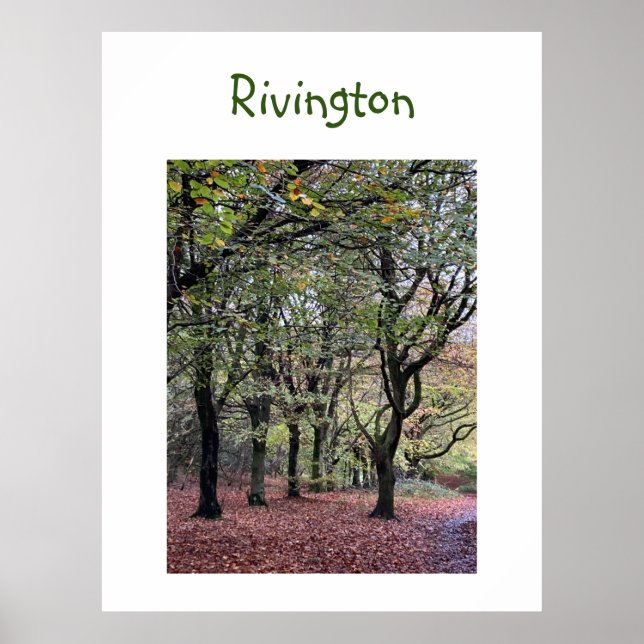 Affiche Arbres d'automne Rivington (Devant)