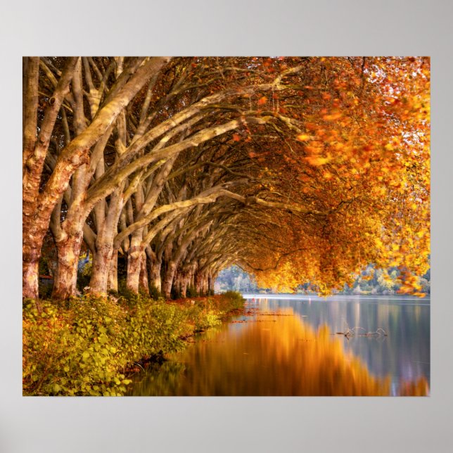Affiche Arbres d'automne sur un lac (Devant)
