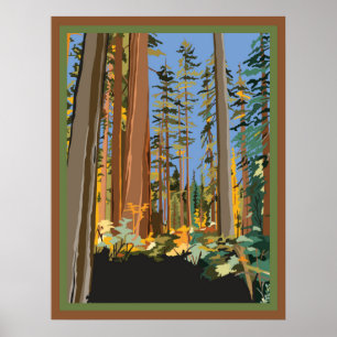 Affiche Arbres de Californie