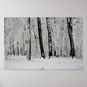Affiche Arbres de neige d'hiver   -     -