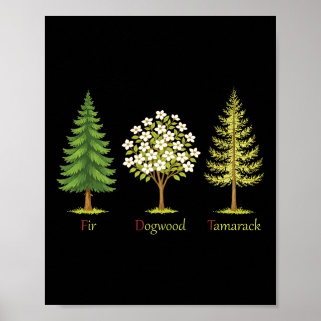 Affiche Arbres de sapin subtils de cornouiller de tamarack (Devant)