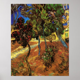 Affiche Arbres de Van Gogh dans le jardin, hôpital Saint-P