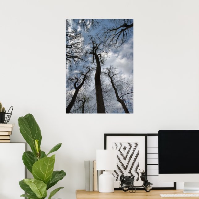 Affiche Arbres dramatiques Tulipier Gris-bleu ciel nuageux (Bureau à domicile)
