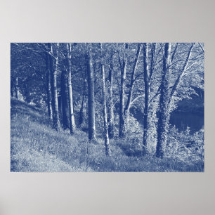 Affiche Arbres d'une rivière - Effet Cyanotype