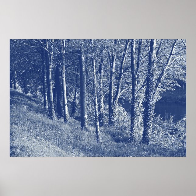 Affiche Arbres d'une rivière - Effet Cyanotype (Devant)