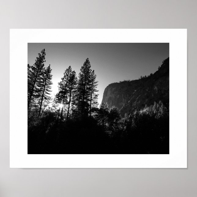 Affiche Arbres éclairés Yosemite Photographie noir et blan (Devant)