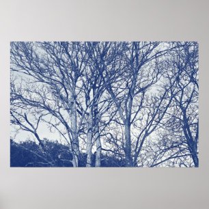 Affiche Arbres en hiver - Effet Cyanotype