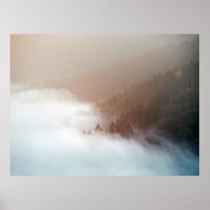 Affiche Arbres en montagne recouverts de brouillard