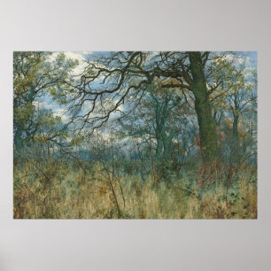 Affiche Arbres et sous-bois - William Fraser Garden