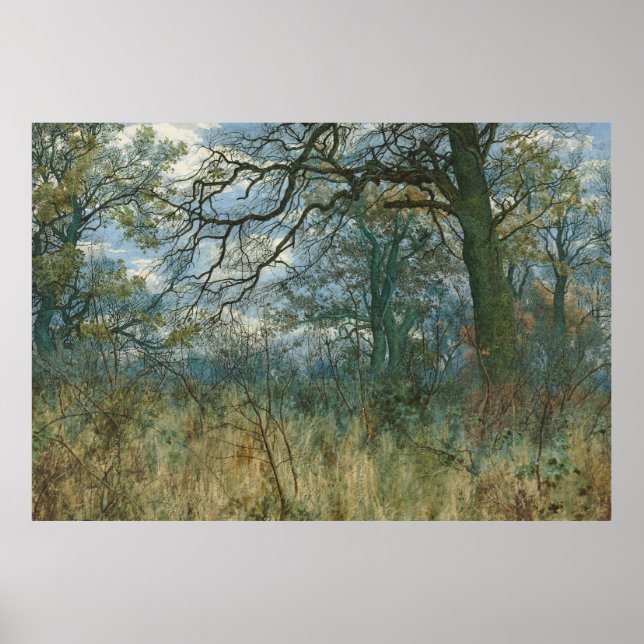 Affiche Arbres et sous-bois - William Fraser Garden (Devant)